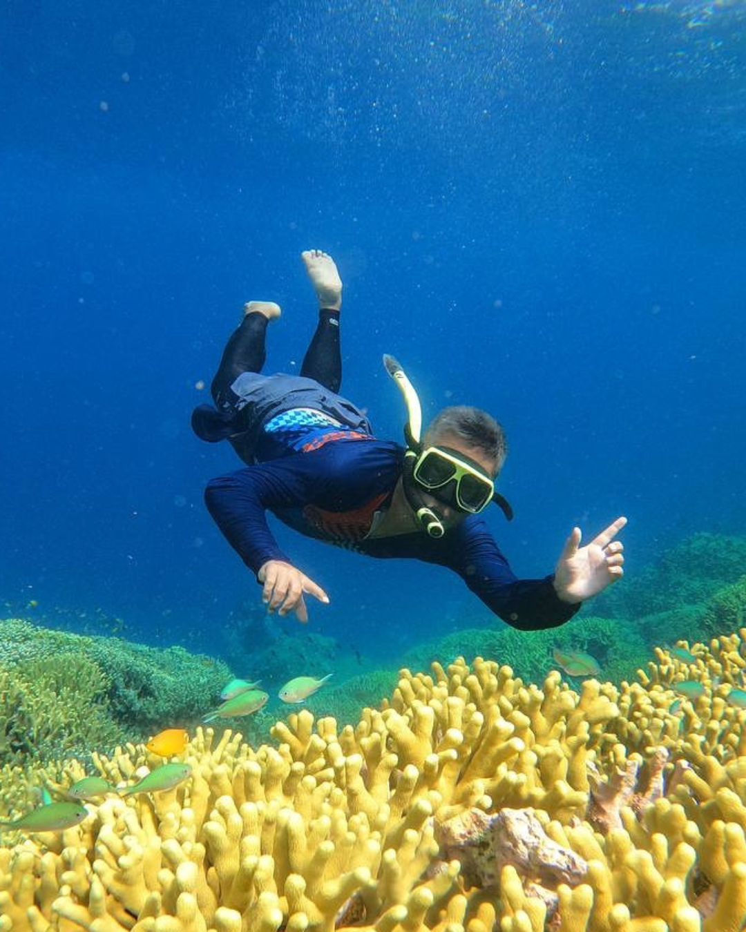 Master Paket Open Trip Pulau Menjangan - Pulau Tabuhan